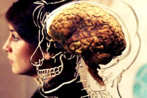 4 dicas da neurociência para melhorar a sua concentração
