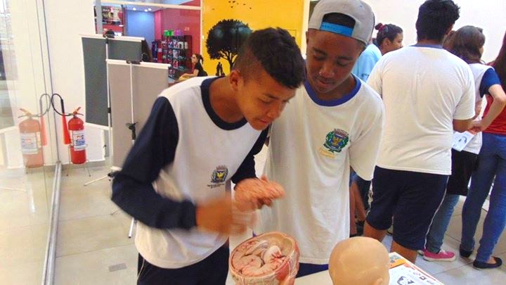Eventos BRAINN em Imagens