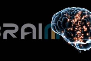 Agência FAPESP destaca pesquisa do BRAINN sobre epilepsia