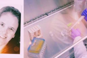 Cientistas treinam neurônios para estudar funcionamento da memória