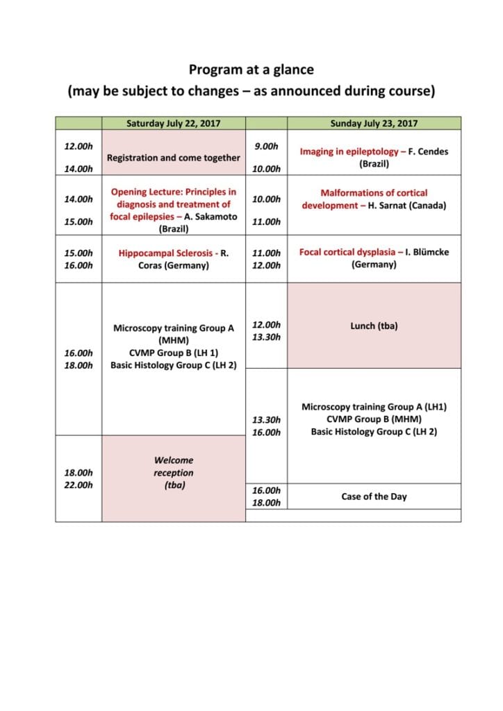 INES 2017 - programacao 01