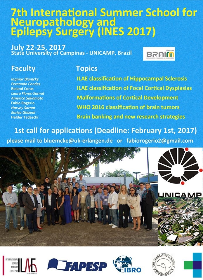 poster 7th international summer school for neuropathology and epilepsy surgery