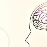 luz para enxergar o cerebro 2017