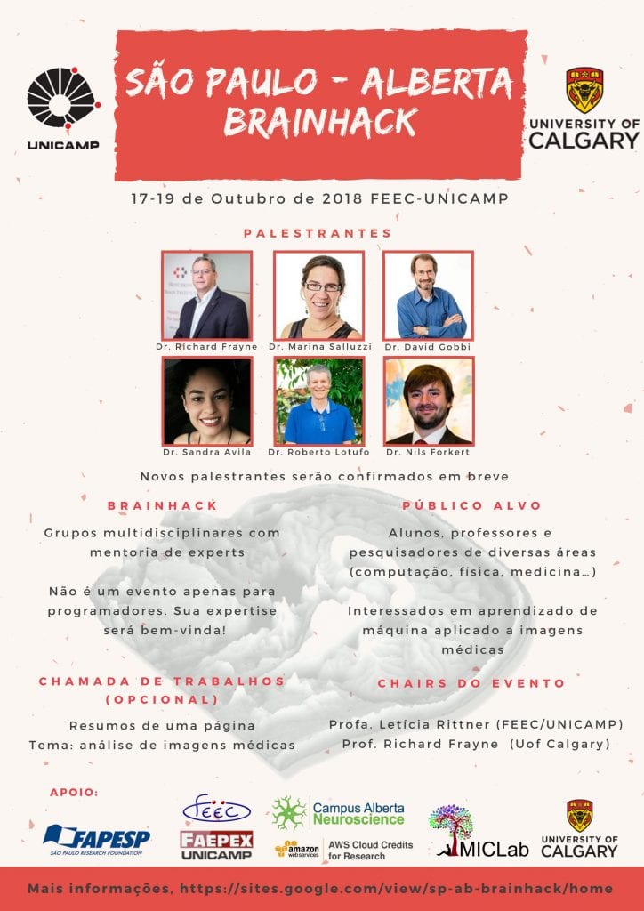 Sao Paulo Alberta BrainnHack 2018 - poster