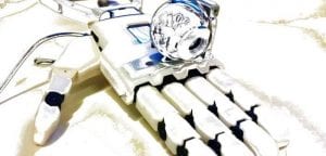 cepid brainn eric rohmer protese de mao