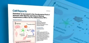 CEPID BRAINN - pesquisa Cell Reports - Palmitato no Liquido Cefalorraquidiano