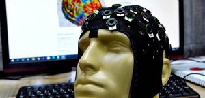 CEPID BRAINN - materia jornal unicamp neurofisica e cerebro