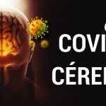 CEPID BRAINN - Publicacao COVID-19 na PNAS - astrocitos