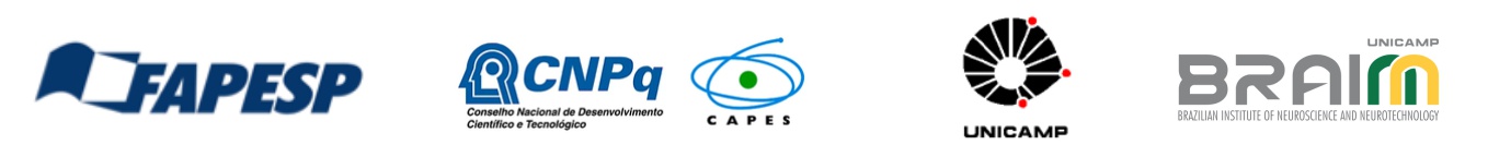 BRAINN - Pesquisa Neuro-Covid - rodape