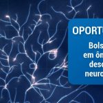 CEPID BRAINN - Oportunidades - Bolsa TT2