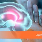 CEPID BRAINN - digulgacao materia agencia fapesp