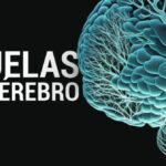 CEPID BRAINN - Sequelas COVID-19 no cerebro - Divulgacao Agencia Fapesp