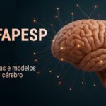 CEPID BRAINN - Blog - Bolsa FAPESP JUL2026 - capa