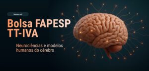 CEPID BRAINN - Blog - Bolsa FAPESP JUL2026 - capa